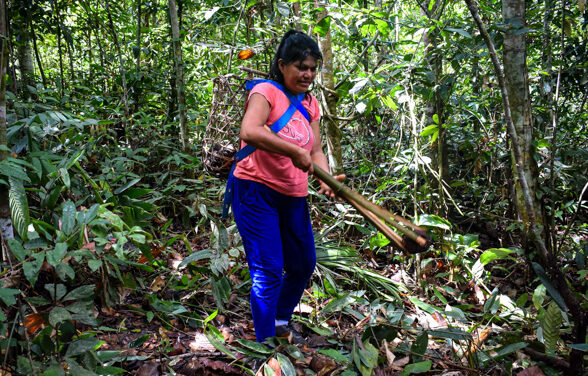 Integran saberes indígenas en plan de trabajo para reducir emisiones de carbono en Amarakaeri