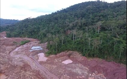 Walter Quertehuari: Carretera, pero con seguridad territorial y protección para Amarakaeri