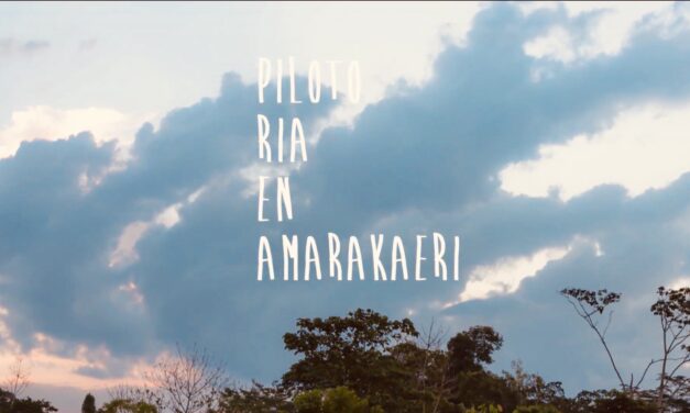 RIA contribuye a los objetivos globales de mitigación y adaptación al cambio climático