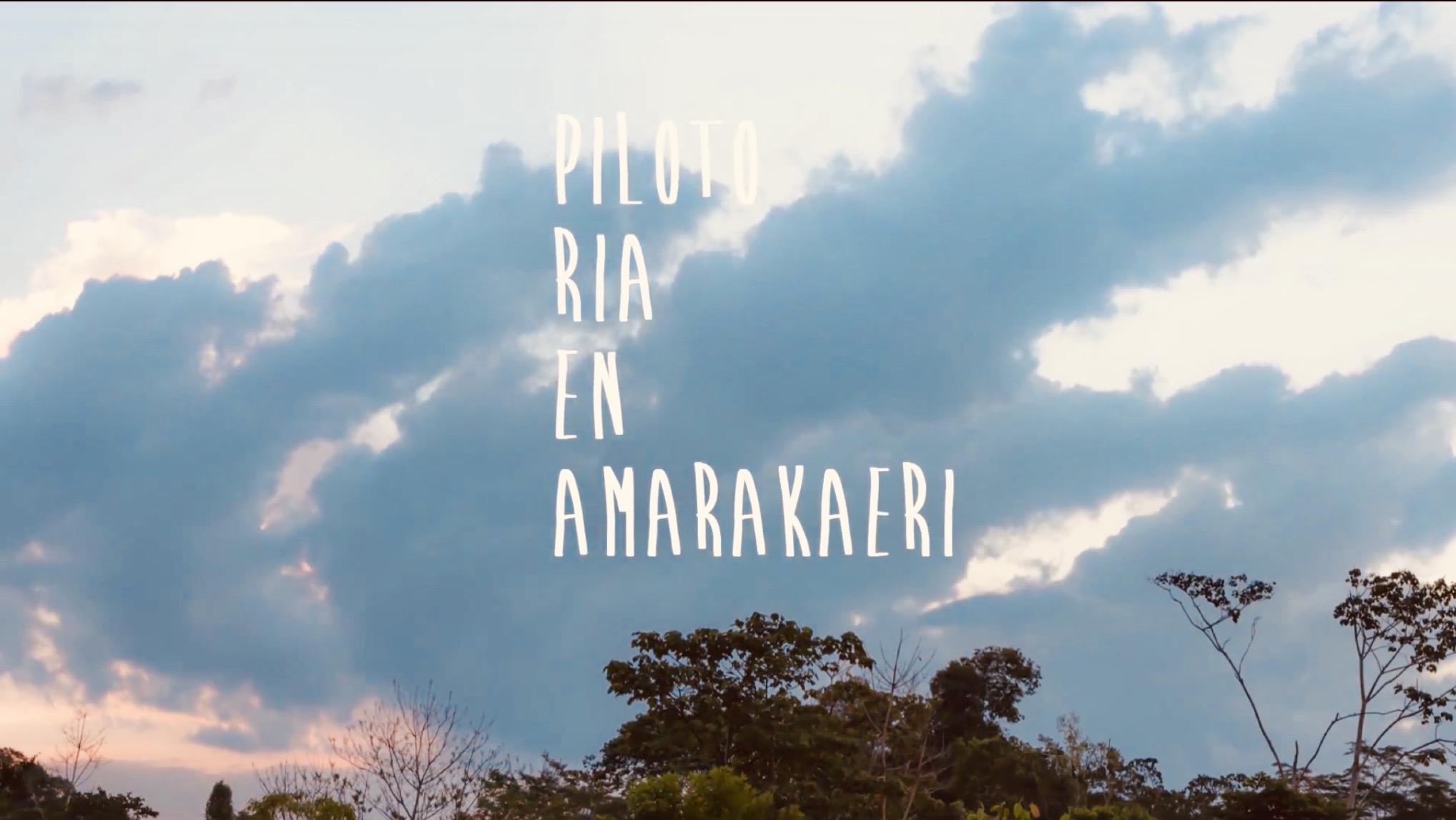 Propuesta forma ya parte de la “Estrategia nacional sobre bosques y cambio climático”.