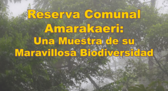 Smithsonian: presenta avance de la investigación científica en la Reserva Comunal Amarakaeri