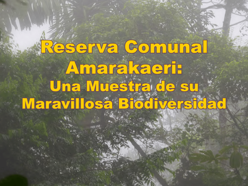 Smithsonian: presenta avance de la investigación científica en la Reserva Comunal Amarakaeri