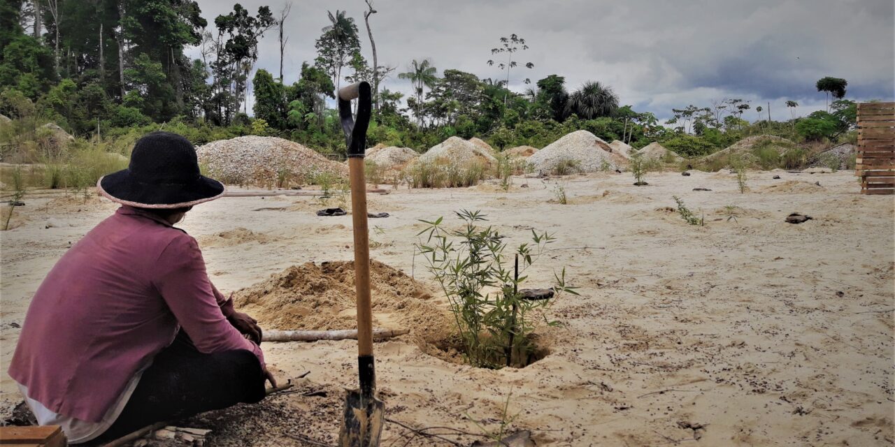 Investigación en la Reserva Comunal Amarakaeri
