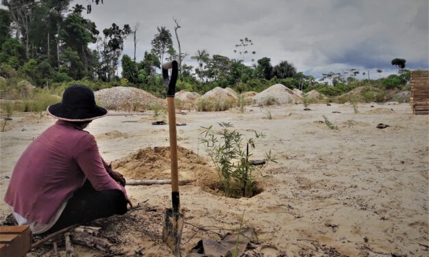 Investigación en la Reserva Comunal Amarakaeri