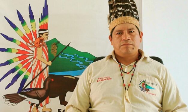 REDD+ Indígena Amazónica: Propuesta de acción climática de los pueblos indígenas