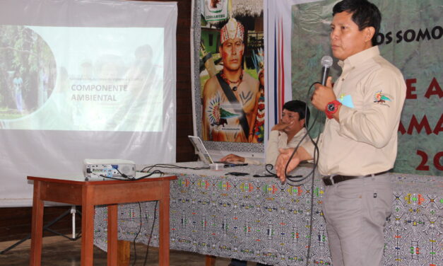 Aprueban informe anual de gestión del ECA Amarakaeri