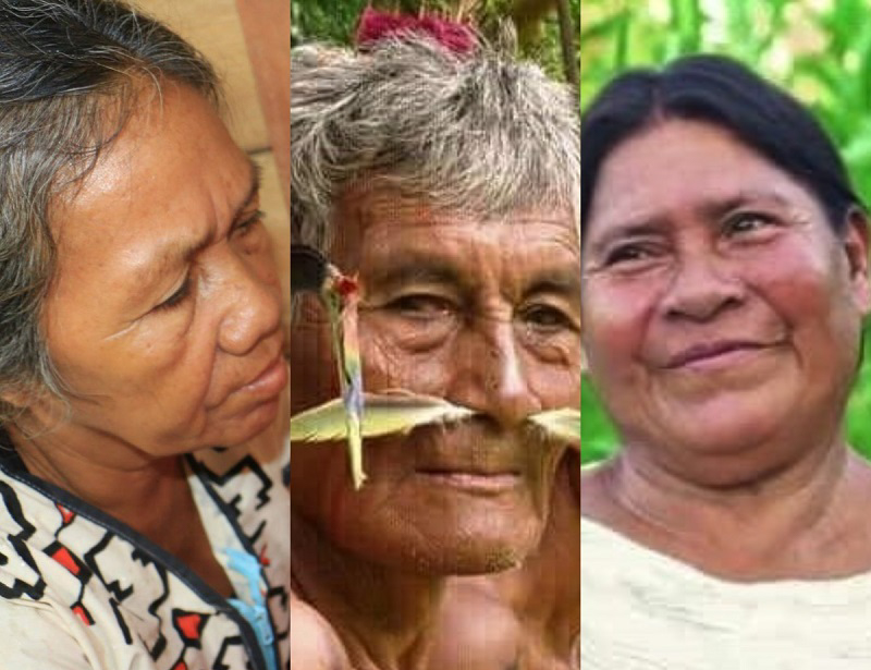 Walter Quertehuari: Amarakaeri no es solo bosque, es cultura viva