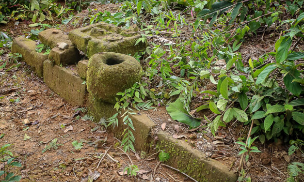Declaran patrimonio cultural de la Nación al Sitio Arqueológico Casa del Inca en la Reserva Comunal Amarakaeri
