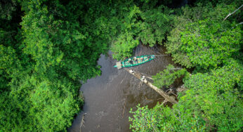Entrevista: próximos pasos para la consolidación de la gestión de la Reserva Comunal Amarakaeri