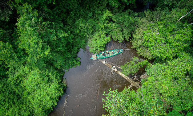 Entrevista: próximos pasos para la consolidación de la gestión de la Reserva Comunal Amarakaeri