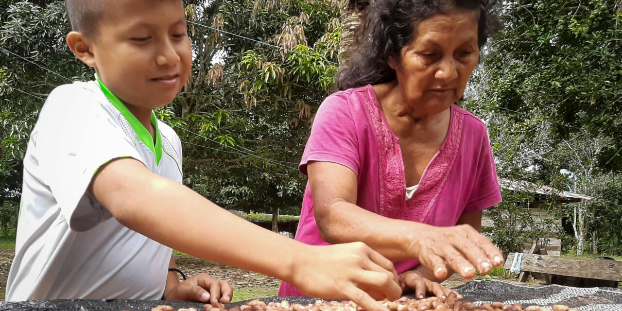 Comuneros lanzan al mercado su marca comercial de castaña Morick´ke Amarakaeri