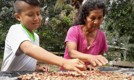 Comuneros lanzan al mercado su marca comercial de castaña Morick´ke Amarakaeri