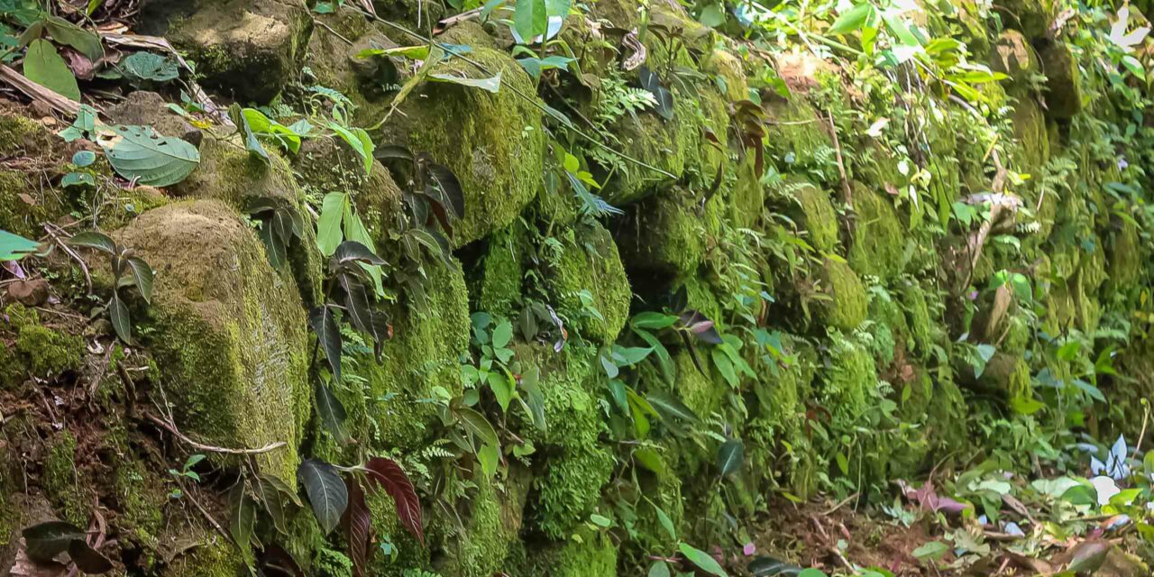 Declaran patrimonio cultural de la Nación al Sitio Arqueológico Casa del Inca en la Reserva Comunal Amarakaeri