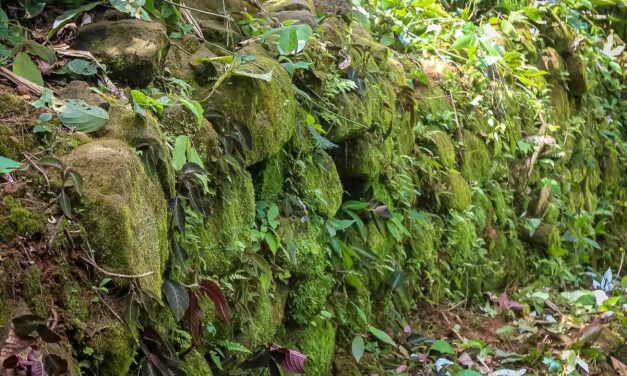 Declaran patrimonio cultural de la Nación al Sitio Arqueológico Casa del Inca en la Reserva Comunal Amarakaeri