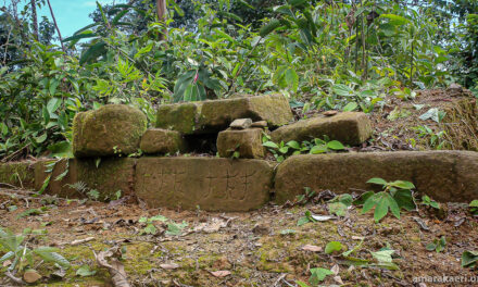 Declaran patrimonio cultural de la Nación al Sitio Arqueológico Casa del Inca en la Reserva Comunal Amarakaeri