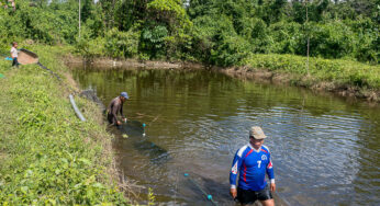 Cogestión de Amarakaeri fortalece piscicultura en Queros Wachiperi a través del PNIPA