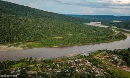 Principales avances y retos de la cogestión de la Reserva Comunal Amarakaeri