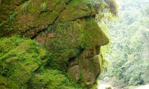 Rostro Harakbut y Casa del Inca serían declarados Patrimonio Cultural de la Nación