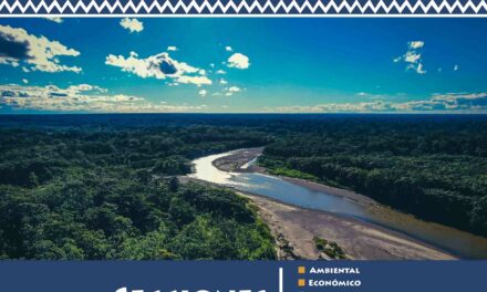 Boletín Amarakaeri Informa N° 3