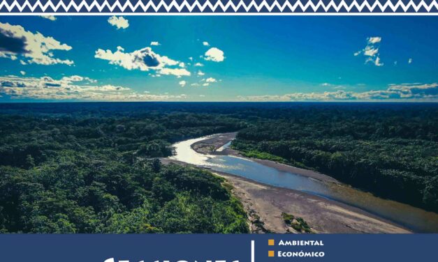 Boletín Amarakaeri Informa N° 3