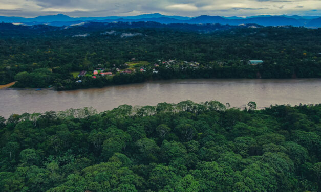 Principales metas trazadas por la cogestión de Amarakaeri