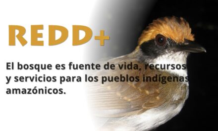 Red Indígena Amazónica en la Reserva Comunal Amarakaeri