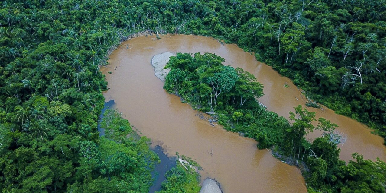Evaluaciones confirman que ríos están saludables en Amarakaeri