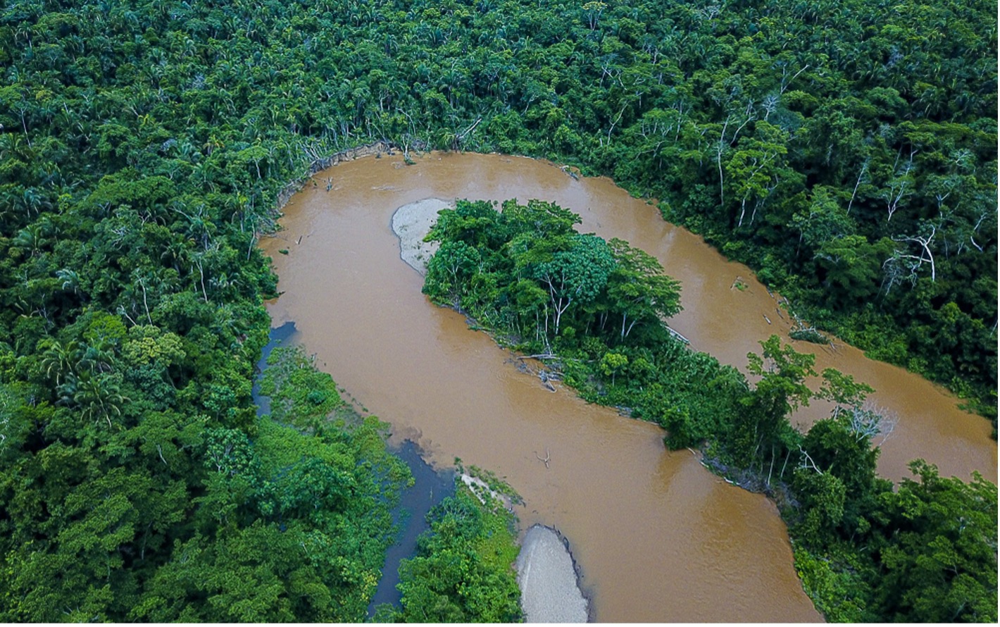 Al finalizar el proyecto, se registrarán nuevas especies de peces en el inventario de la Reserva Comunal Amarakaeri.