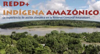 REDD+ Indígena Amazónica