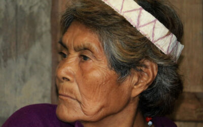 Las matriarcas de la Reserva Comunal Amarakaeri