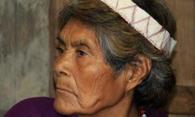 Las matriarcas de la Reserva Comunal Amarakaeri