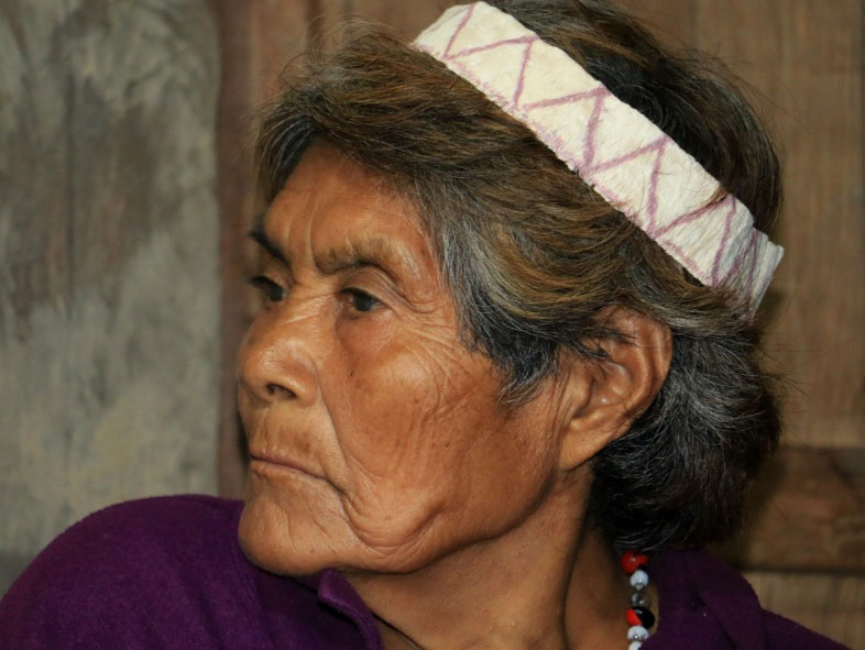 Las matriarcas de la Reserva Comunal Amarakaeri