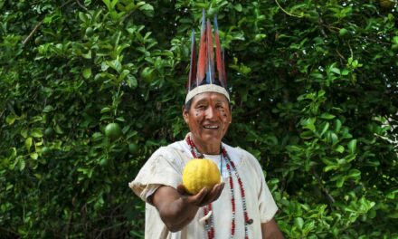 Planes de Vida Plena y Gobernanza Territorial de las comunidades socias de la Reserva Comunal Amarakaeri
