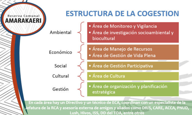 Estructura de trabajo de la cogestión de la Reserva Comunal Amarakaeri