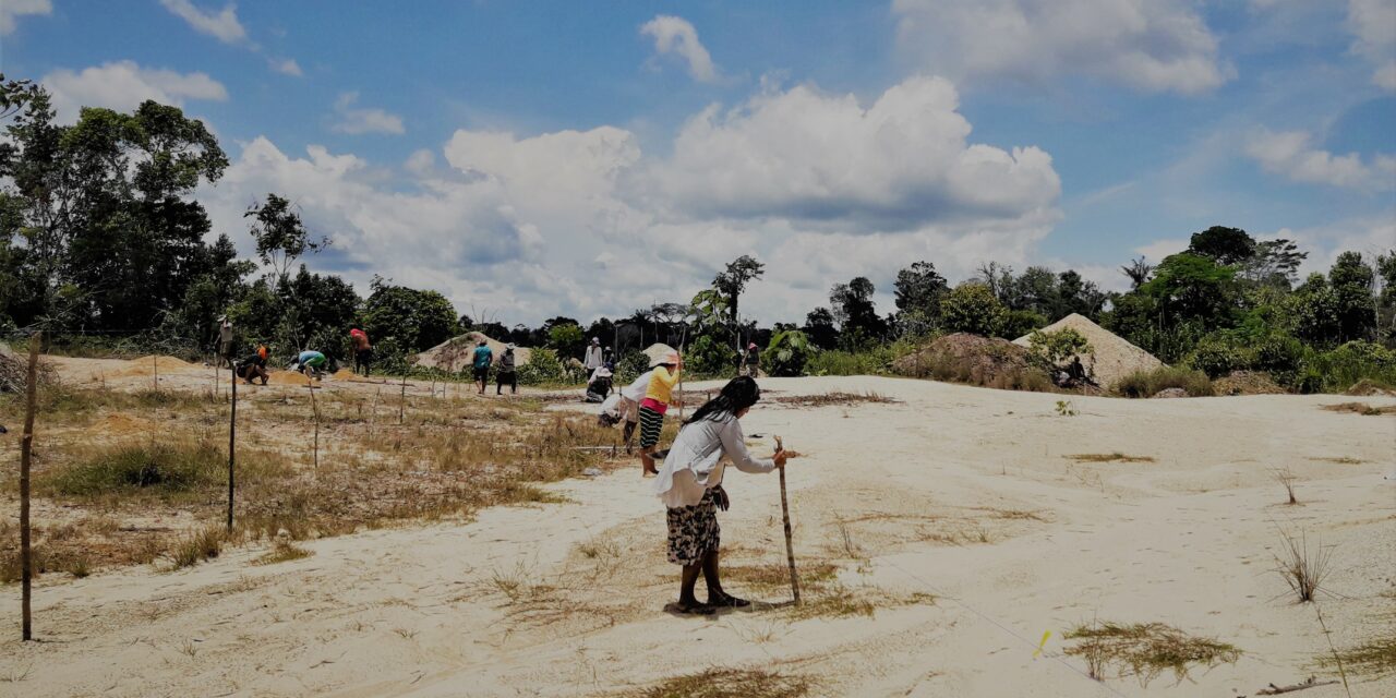 Investigación en la Reserva Comunal Amarakaeri
