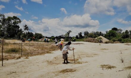 Investigación en la Reserva Comunal Amarakaeri
