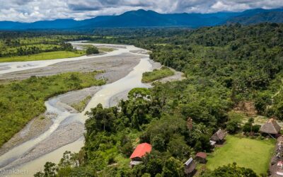 Comunidad nativa Queros Wachiperi