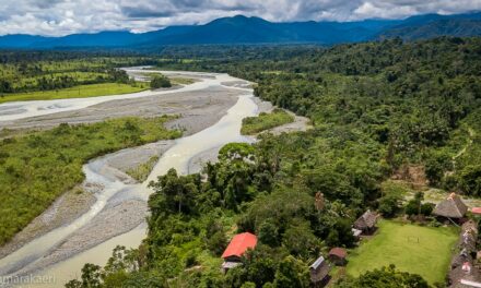 Comunidad nativa Queros Wachiperi