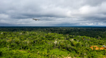 El bosque es fuente de vida y recursos para los pueblos indígenas