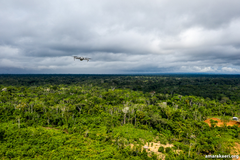 El bosque es fuente de vida y recursos para los pueblos indígenas