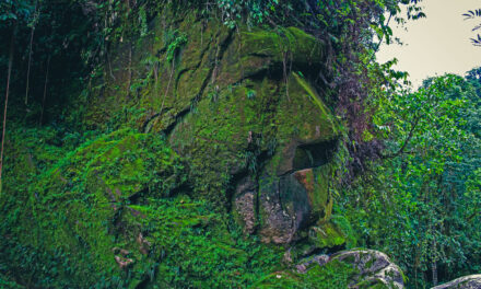 Declaran patrimonio cultural de la Nación al Rostro Harakbut