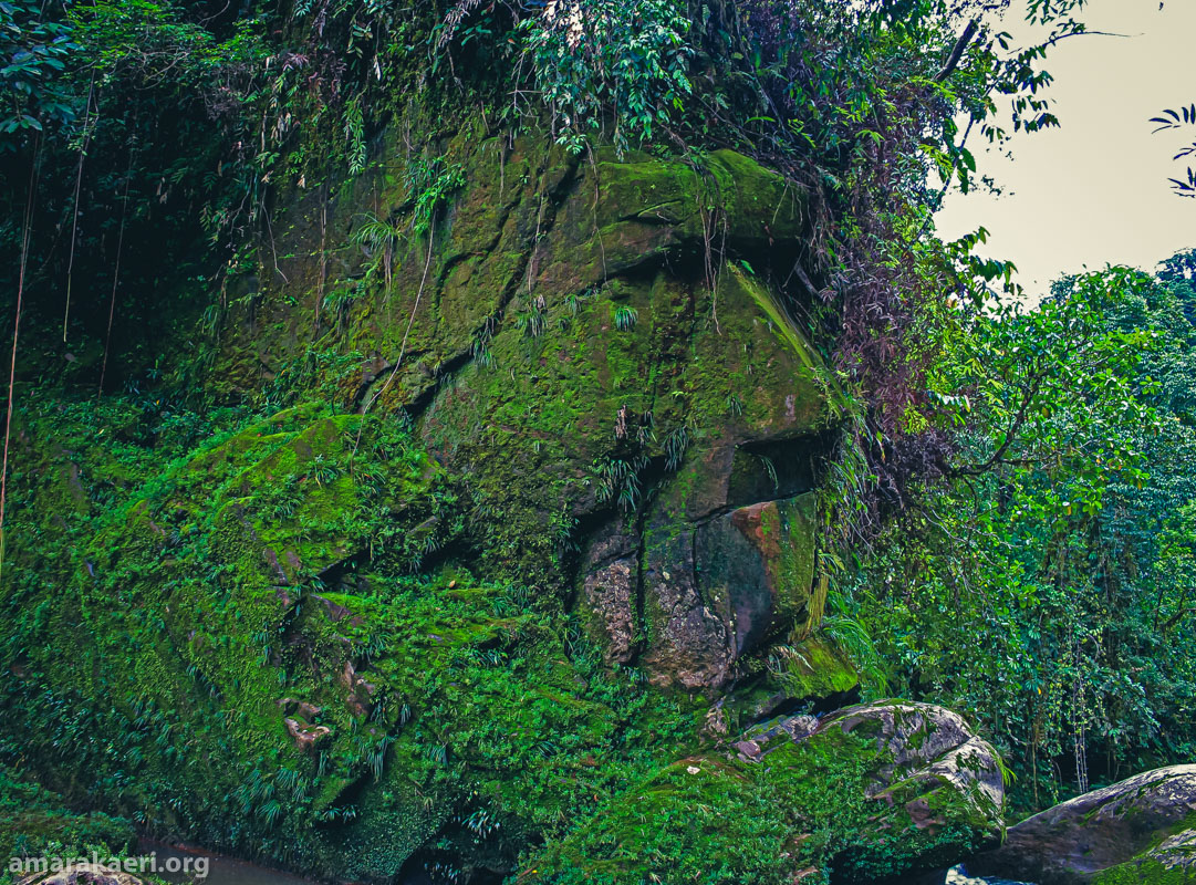 Se reconoce al Rostro Harakbut como patrimonio cultural de la Nación a través de la Resolución