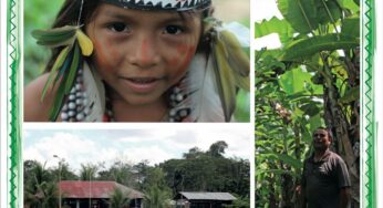 Plan de Vida Plena y Gobernanza Territorial de Comunidad nativa Puerto Azul Mberowe