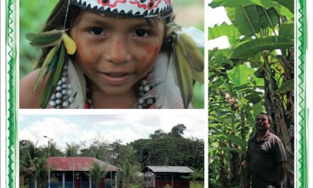 Plan de Vida Plena y Gobernanza Territorial de Comunidad nativa Puerto Azul Mberowe