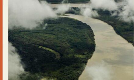 Los servicios ecosistémicos que brinda la Reserva Comunal Amarakaeri