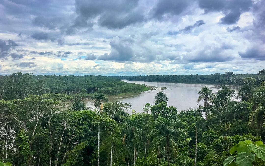 Comunidad nativa Masenawa