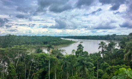 Comunidad nativa Masenawa