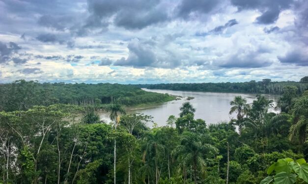 Comunidad nativa Masenawa