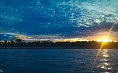 Reserva Comunal Amarakaeri