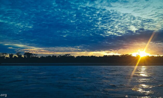 Reserva Comunal Amarakaeri